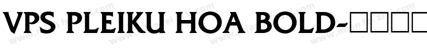 VPS Pleiku Hoa Bold字体转换